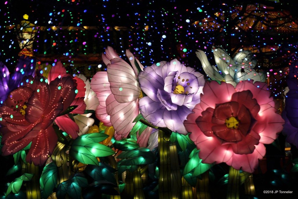 Le festival des lanternes à Gaillac