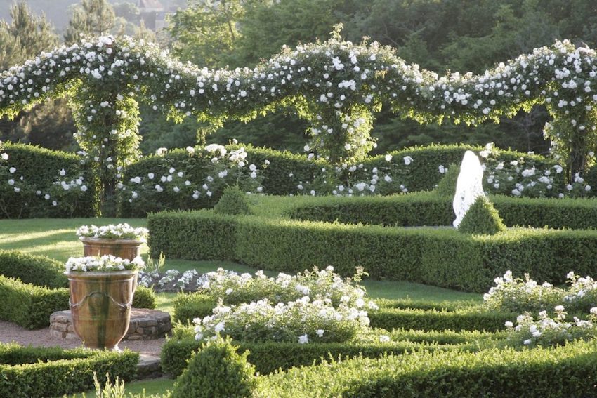 Le jardin blanc