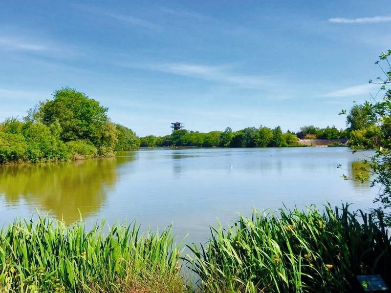 Plan d'eau