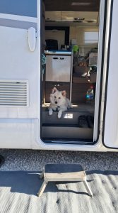 Certains profitent du soleil du Sud d'Alicante en Espagne. 