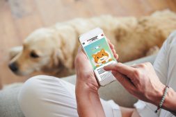 Le site de la fondation 30 Millions d'Amis.