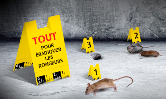 Barrière à rongeurs Protect gaines électriques