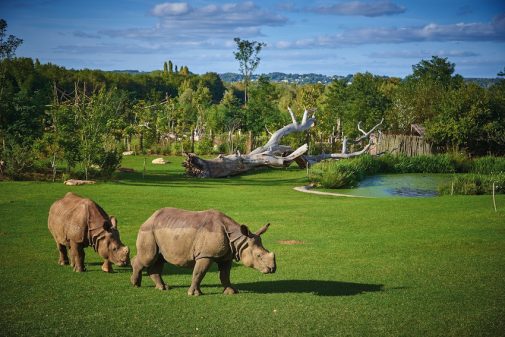 La plaine asiatique du zoo