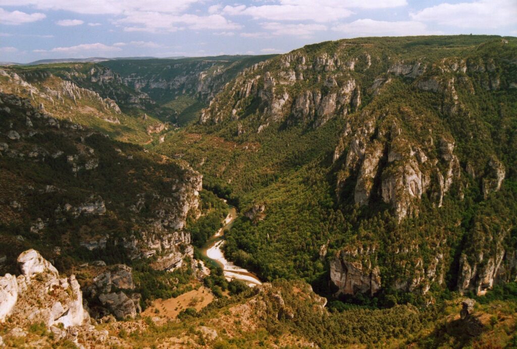Les Gorges du Tarn