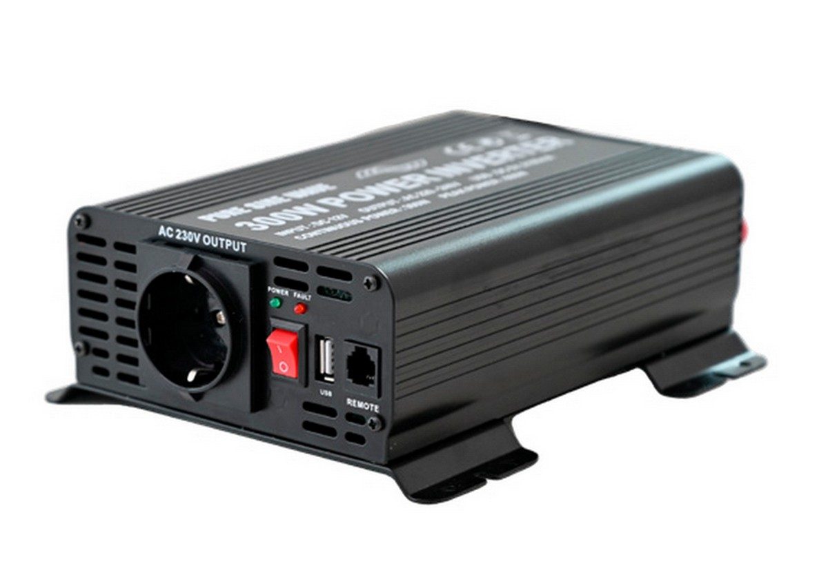 ERP300