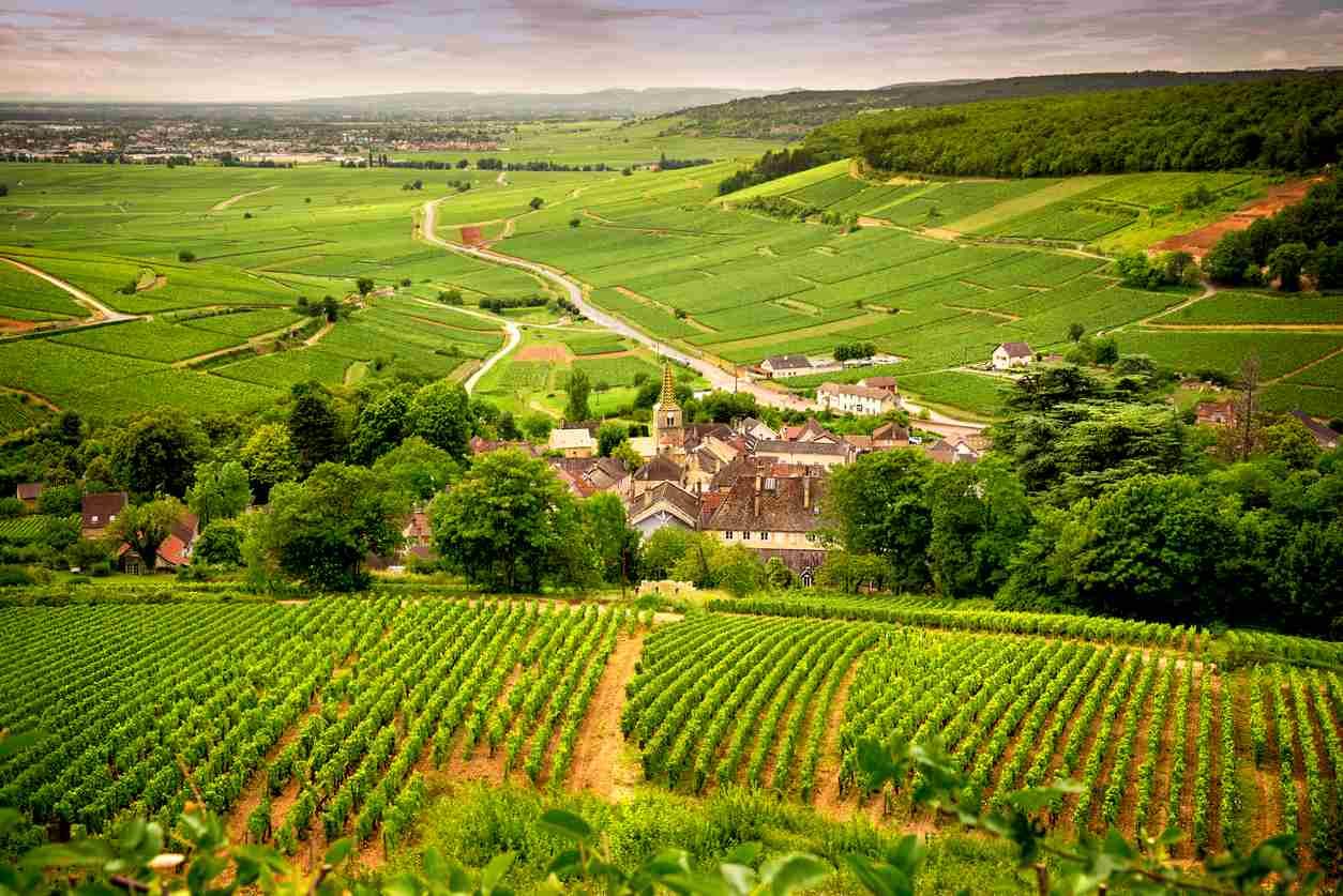La Bourgogne