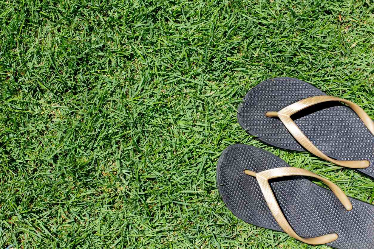 Le championnat du monde de lancer de tongs