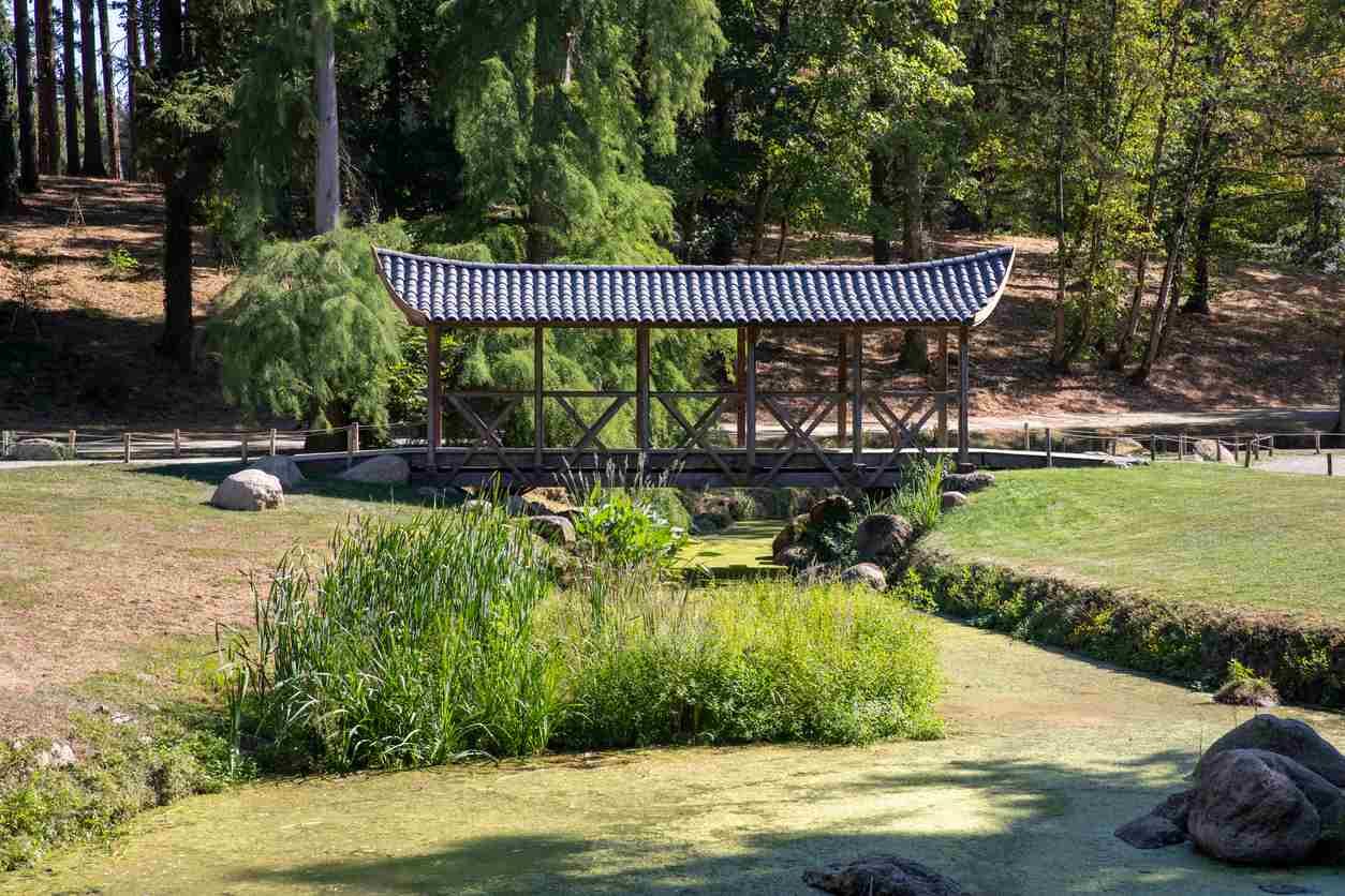 Le parc oriental de Maulévrier.