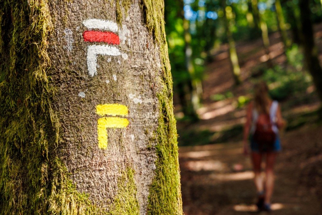 Sentier de randonnée.