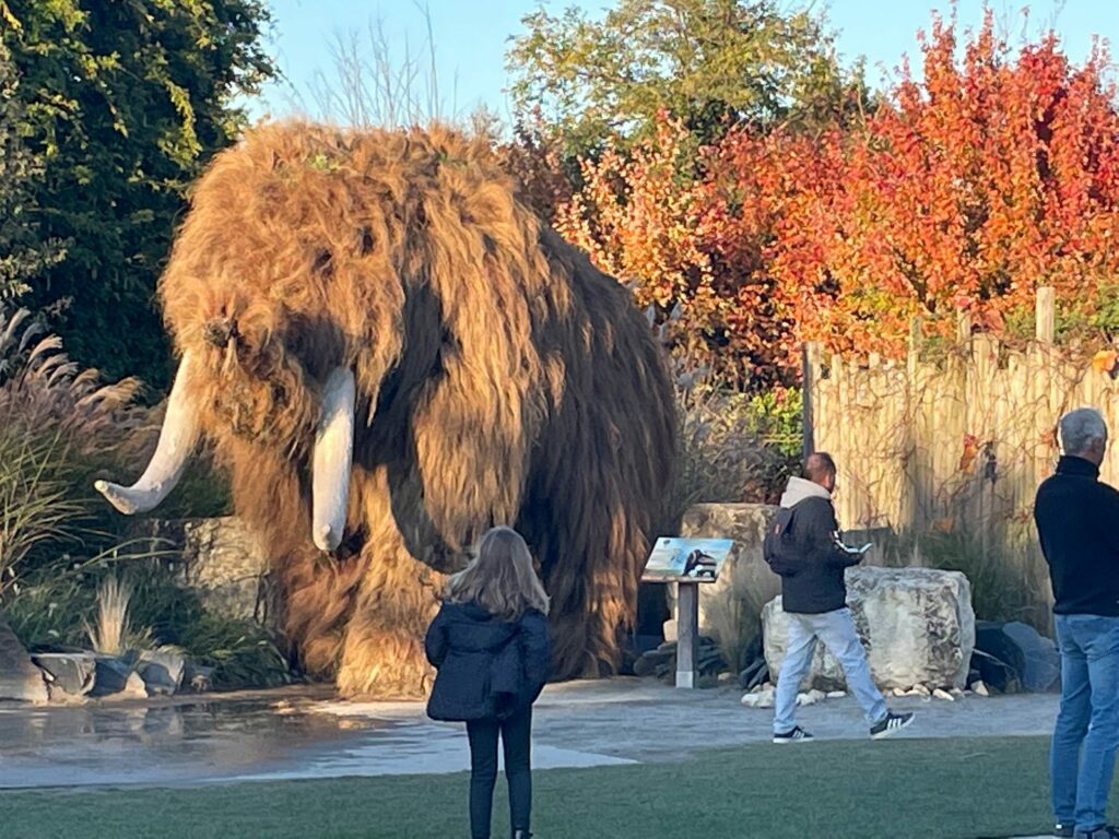 Terra Botanica