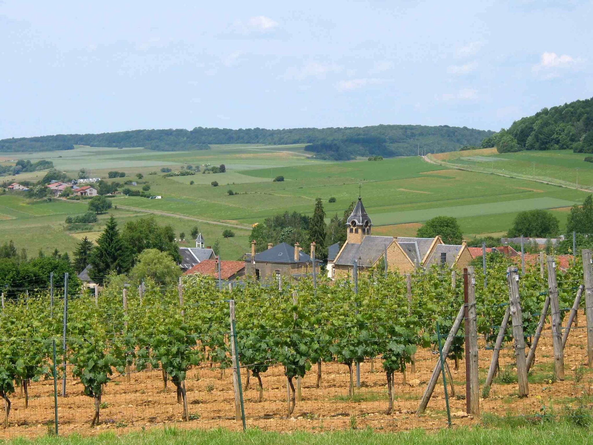 Torgny
