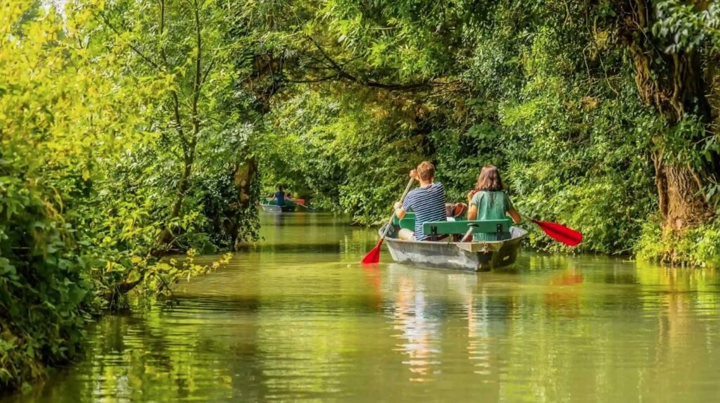 LE MARAIS SAUVAGE