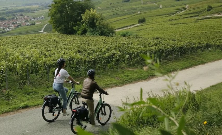 escalade, vélo et gravel au départ d'Epernay et Hautvillers